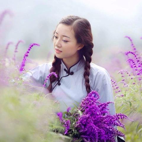 Ngắm cánh đồng hoa oải hương đẹp mê mẩn lòng người ở Lào Cai