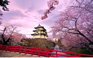 Kinh nghiệm đi du lịch Nhật Bản - những điều  bạn cần biết khi đến với xứ sở hoa anh đào